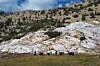 The quartz pillow, llamas and hikers